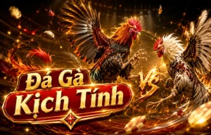 Đá gà jobsbuffet